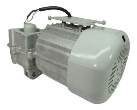 Motor Pivo Super 1/3 Cv Peccinin Avulso