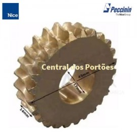 ENGRENAGEN DE BRONZE MOTOR PIVOTANTE BASCULANTE PECCININ / NICE  